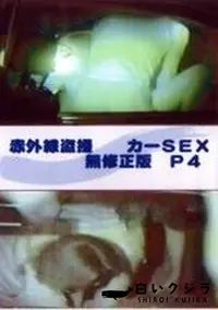 【赤外線盗撮 カーSEX 無修正版 P4】の一覧画像