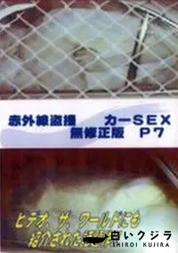 【赤外線盗撮 カーSEX 無修正版 P7】の一覧画像