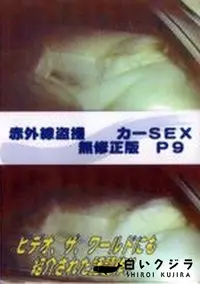 【赤外線盗撮 カーSEX 無修正版 P9】の一覧画像