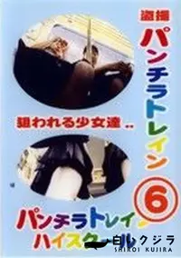 【盗撮 パンチラトレイン 6】の一覧画像