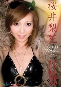 【Gold Angel　ゴールドエンジェル 12 】の一覧画像