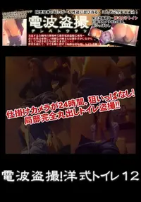 【電波盗撮!洋式トイレ 12】の一覧画像