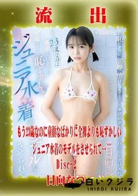【【極秘流出】日□なつ リメイク Disc-2】の一覧画像