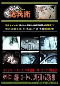 【SPD-073 盗撮カーセックス黙示録〜広島県編〜】の一覧画像