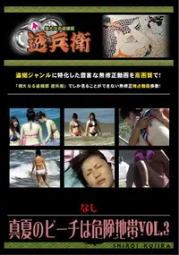 【真夏のビーチは危険地帯Vol.3 】の一覧画像