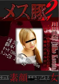 【オナニー盗撮犯に犯された自慰女～キャバ嬢夜の営み中に～ 】の一覧画像