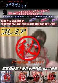 【緊縛師投稿!狂乱女子図鑑 part 63】の一覧画像