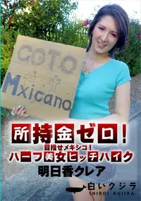 【所持金ゼロ!目指せメキシコ!ハーフ美女ヒッチハイク】の一覧画像