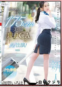 【【極秘流出】品性に隠した敏感スケベ本性 175cm美脚現役CA AV出演！ 加□いろは】の一覧画像